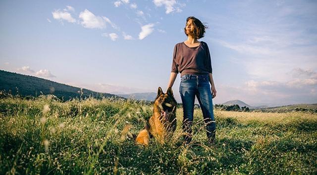 What should you pay attention to when walking your dog?