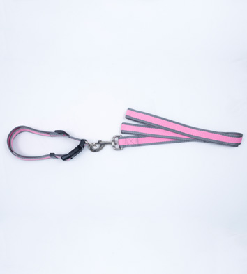 Luminous Leash