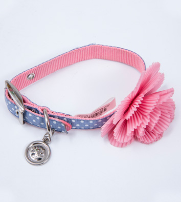 Dog Flower Collar