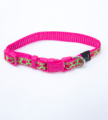 Nylon and Canvas Double Collar