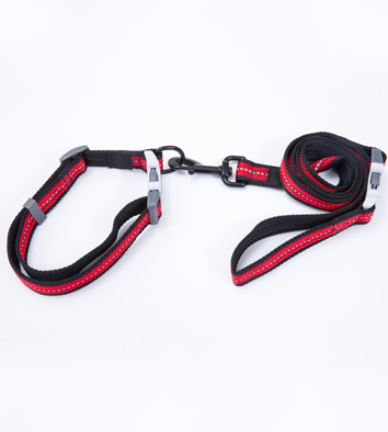 Multi-color braided Leash