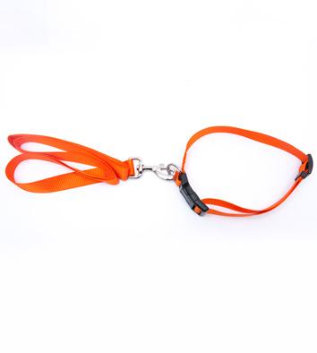 Nylon Leash