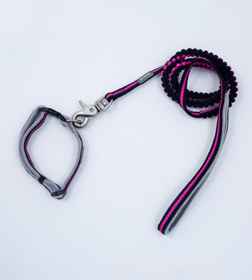 Elastic Leash