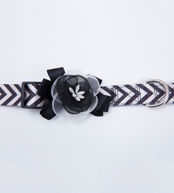 Dog Bow Leash