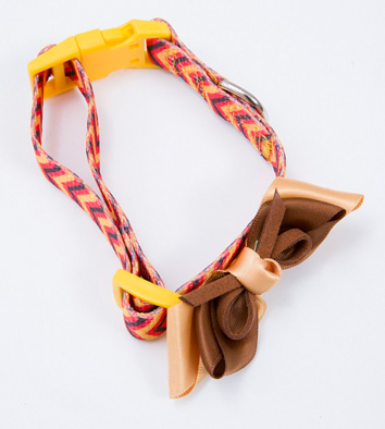 Dog Bow Leash